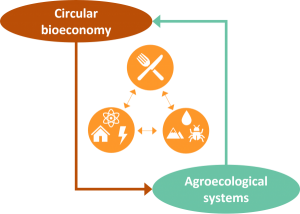 bioagroeco_en
